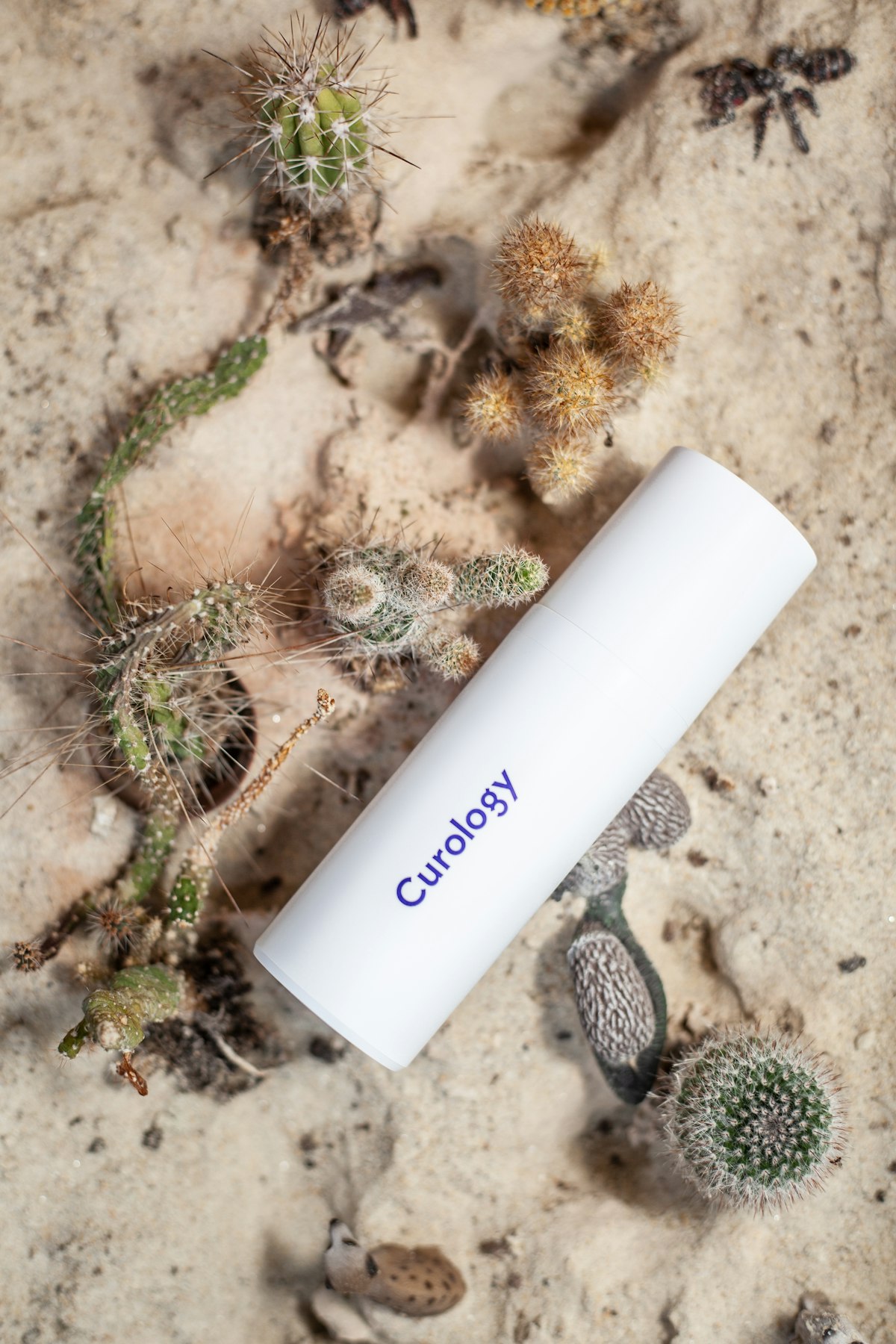 Rayons de produits de parapharmacie — soins, beauté, santé