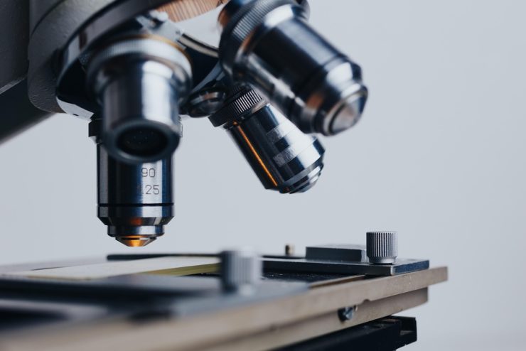zomme sur un microscope